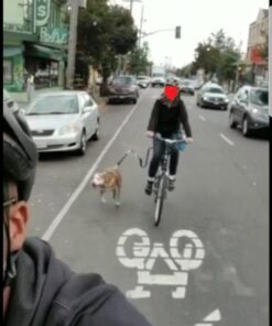 Springer Hands Free Dog Leash Bike Attachment Kit -Pet Exerciser for Running, Walking Jogging - Universal Fit for Bicycles - Quick Release, 18-Inch Rope 17 71cV9TVusL