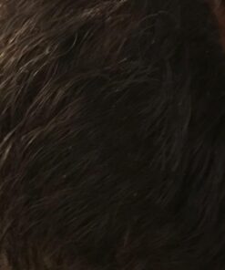 Hair Growth Conditioner - Hair Loss Conditioner For Thinning Hair - Sulfate Free Prevention Formula Against Hair Loss, Alopecia & Receding Hairline with Argan Oil - by Amplixin 31 71ca1XCoFL