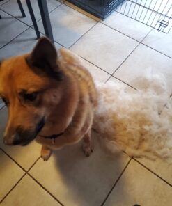 Thunderpaws Best Professional De-Shedding Tool and Pet Grooming Brush, D-Shedz for Breeds of Dogs, Cats with Short or Long Hair, Small, Medium and Large (Yellow) Yellow 35 71caU3W0wfL