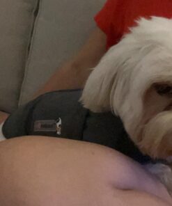 ThunderShirt Classic Dog Anxiety Jacket, Heather Grey, Small 40 71ccFMHNUZL