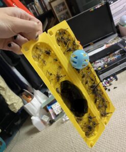 EATON J T 844 4PK Crick/Spid GlueTrap 26 71cduc7aq8L