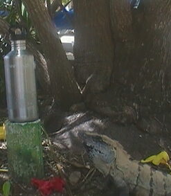 New Wave Enviro 40oz Stainless Steel Water Bottle with Strap 35 71ceFn6GBzL