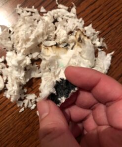 Kaytee Clean & Cozy White Small Animal Bedding 85 Liters 43 71ceU9tg9sL 1