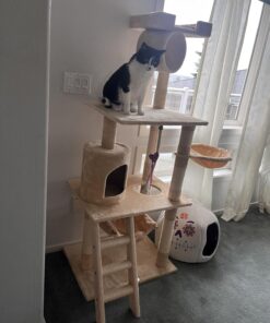 Go Pet Club Classic Cat Tree, Faux Fur Finish, Sisal Rope Scratcher, 62"H, Beige 42 71cgVLO1sbL