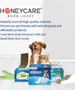 HONEY CARE All-Absorb, X-Large 28" x 34", 40 Count, Dog and Puppy Training Pads, Ultra Absorbent and Odor Eliminating, Leak-Proof 5-Layer Potty Training Pads with Quick-Dry Surface, Blue 22 71civRm8 aL