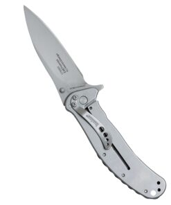 Kershaw Zing SS Pocketknife, 3" 8Cr13MoV Stainless Steel Blade, Assisted Thumb-Stud and Flipper Opening EDC 38 71ck1M4oArL