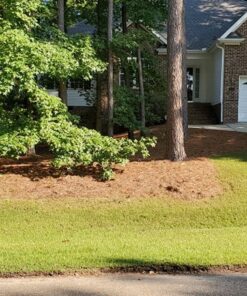 Greenworks 12 Amp Electric Corded Edger 27032 34 71cko5jbhPL