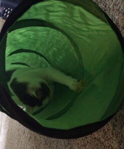 Petmate Jackson Galaxy Cat Crawl Solid Tunnel, Green/Orange 35 71cmeBk3QOL