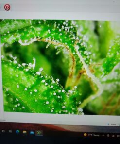 Jiusion Original 40-1000X USB Microscope with Portable Carrying Case, Digital Magnification Endoscope Camera 8 LEDs Metal Base for Micro USB USB-C Android, Windows Mac Linux Chrome 44 71cmn9TE3PL