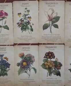 Botanical Inspirations Deck & Book Set 57 71crr5l1jKL