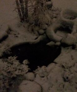 K&H Pet Products Thermo-Pond Perfect Climate Submersible Pond Deicer Gray 8" x 8" 300W, 1 Count (Pack of 1) 15 71ct89UOyQL