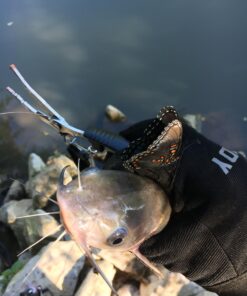 Ugly Stik GX2 Spinning Reel and Fishing Rod Combo 40 Size Reel - 6'6" - Medium Heavy - 1pc 44 71cu36BY3kL