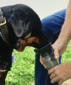 Highwave AutoDogMug Dog Water Bottle BPA-Free Portable Dog Water Bottle | Leak-Proof Portable Dog Water Bottle for Hiking and Traveling | Dish-Washer Safe, 20 oz Smoke 28 71cxxiRsZL