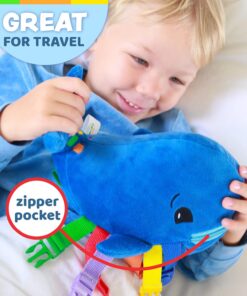 Buckle Toys - Blu Whale - Develop Motor Skills and Problem Solving - Counting and Color Recognition - Sensory Toddler Travel Toy 22 71czb6LFbKL