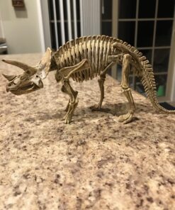 Large Dinosaur Excavation Kit 34 71d1cj0MKvL