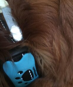 Humane Dog Bark Collar 2 Pack | Anti Barking Training Collar | Vibrating, No Shock Stop Barking for Small Medium Large Dogs | Excessive Barking Pet Corrector, (Battery) Orange & Blue Battery 46 71d3p7plxgL