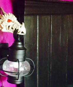 Penn-Plax Deco-Replicas Dragon Skull Gazer Aquarium Decoration – Safe for Freshwater and Saltwater Fish Tanks – Large 20 71d4fsFa7iL