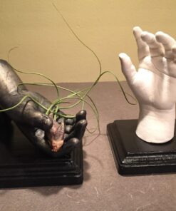 Alginate Molding Powder for Hand Casting Kit & Multi-Use Projects - 3 lb Casting Plaster Material - Family Keepsakes- Create-a-Mold by Luna Bean Alginate 30 71d51h9RpgL