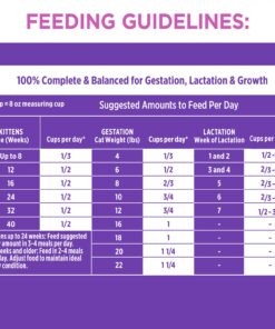 IAMS PROACTIVE HEALTH Healthy Kitten Dry Cat Food with Chicken Cat Kibble, 16 lb. Bag Dry Food 16.00 Pound (Pack of 1) 27 71d77eHZq L