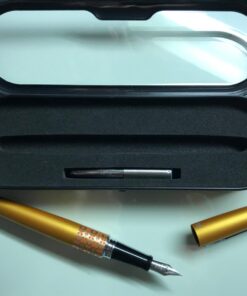PILOT MR Retro Pop Collection Fountain Pen in Gift Box, Orange Barrel with Flower Accent, Fine Point Stainless Steel Nib, Refillable Black Ink (91433) Marigold/Flower Fine Nib 25 71d7gJMG8pL