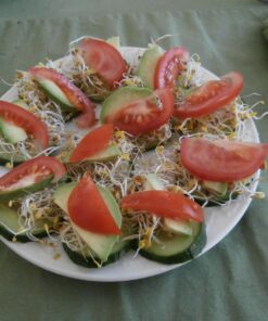 Todd's Seeds® Broccoli and Friends Sprouting Seed Mix, One Pound 33 71d9PbTVU6L 1