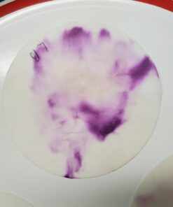 Check Mate Infidelity Test Kit - 10 Tests - Check your spouse, boyfriend, girlfriend, partner. 20 71dBH7p2ByL