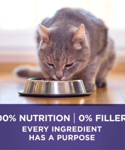 Purina ONE Natural Cat Food for Hairball Control, +PLUS Hairball Formula - 16 lb. Bag Chicken 16.00 Pound (Pack of 1) 30 71dMsVu8ZS