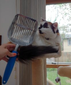 Chi-buy The Latest Update Metal Cat Litter Scoop POLISHING Blue Handle,Aluminum Alloy with TABS/Round Teeth Pet Kitty Litter Scooper 27 71dS5Q9 VZL