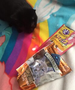 Wellness Kittles Crunchy Natural Grain Free Cat Treats, Salmon & Cranberry, 2-Ounce Bag 2 Ounce (Pack of 1) 45 71dT6SCn7XL 1