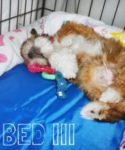 K&H Pet Products Cool Bed III Dog Cooling Mat, Cooling Dog Beds for Small Dogs, Dog Cooling Mat for Dog Carrier, Outdoor Dog Bed Cooling Pad for Dog, Pet Cooling Mat - Blue Small 17 X 24 Inches 24.0"L x 17.0"W x 2.0"Th 23 71dTo39dViL 1