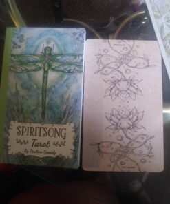Spiritsong Tarot 69 71dW2z0nV4L