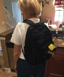 Pacsafe Metrosafe LS350 15 Liter Anti Theft Laptop Daypack/Backpack - with Padded 13" Laptop Sleeve, Adjustable Shoulder Straps, Patented Security Technology, Black Pacsafe Metrosafe Ls350 Anti-theft 15l Travel Backpack - Black 35 71dWA27h4pL