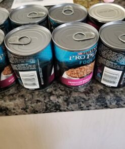 Purina Pro Plan Sensitive Skin and Stomach Dog Food Pate, Sensitive Skin and Stomach Salmon and Rice Entree - 13 oz. Can Salmon & Rice - Wet Dog Food (12) 13 oz. Cans 36 71dYllPNN2L 1