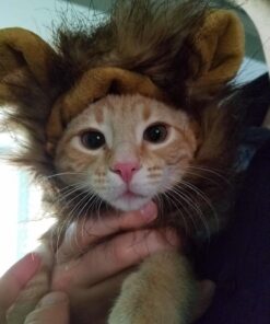 Pet Krewe Cat Lion Mane Halloween Costume – Fits Neck Size 8”-14 - Lion Costume for Small Cats and Kittens – Ideal for Halloween, Cat Birthday, Cat Cosplay, Cat Outfits, Pet Clothes One size fits all 34 71dZ20JlWwL