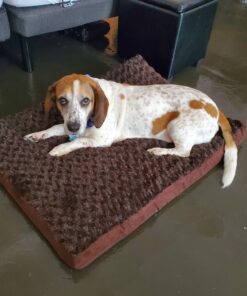 Furhaven Orthopedic Dog Bed for Large/Medium Dogs w/ Removable Washable Cover, For Dogs Up to 55 lbs - Ultra Plush Faux Fur & Suede Mattress - Chocolate, Large Ultra Plush Curly Faux Fur (Chocolate) 36.0"L x 27.0"W x 3.0"Th Orthopedic Foam 45 71dZMGGIsSL 1