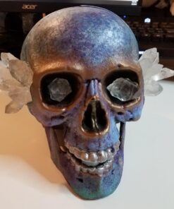 Prextex 6.5" Plastic Skull Head Halloween Decor | Realistic Life-Size Skeleton Skull Halloween & Day of The Dead Decoration | Scary Human Skull Replicas Skeleton Decor | Head Skulls Decor 31 71daJjPZPgL 1