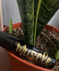 Vivaplex, 24, Amber, 10 ml Glass Roll-on Bottles with Stainless Steel Roller Balls. 3-3 ml Droppers included 25 71dkiiDASL