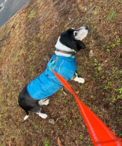 Kurgo Loft Dog Jacket, Reversible Dog Coat, Wear with Harness or Sweater, Water Resistant, Reflective, Winter Coat For Large Dogs (Coastal Blue, L) Coastal Blue/Orange 31 71dorwoFcL