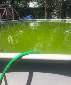 HTH 52008 Super Shock Treatment Swimming Pool Cleaner, Pack of 6 30 71dpFWQ j L