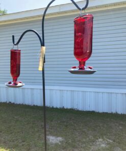 Perky-Pet 8109-2 Antique Glass Bottle Hummingbird Feeder-16-Ounce Capacity, Red beige 1 Count (Pack of 1) Elegant 36 71dpg7SA5eL