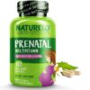 NATURELO Prenatal Multivitamin with Gentle Chelated Iron, Methyl Folate, Plant Calcium & Choline - Vegan, Vegetarian - Non-GMO - Gluten Free - 180 Capsules - 2 Month Supply 180 Count (Pack of 1) 50 71dsm0yuwEL
