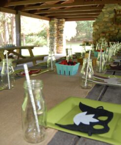 Kikkerland Biodegradable Paper Straws, Birch 27 71dvX988IfL