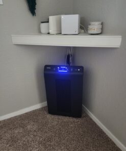 Winix 5500-2 Air Purifier with True HEPA, PlasmaWave and Odor Reducing Washable AOC Carbon Filter Medium , Charcoal Gray 49 71dveM6M8EL