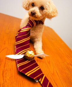 Rubie's Costume Co Harry Potter Gryffindor Tie 16 71dvlsyeW L