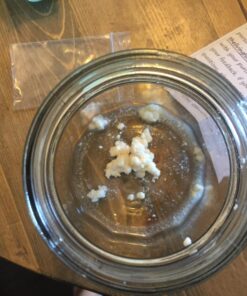 Live Milk Kefir Grains - Live Probiotic Culture 28 71dwHgKUiUL