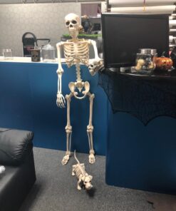 Crazy Bonez Pose-N-Stay Skeleton Original Pose-N-Stay 47 71dwc2Au3bL