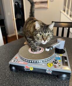 Suck UK Cat Scratcher ; Dj Cat Scratch Turntable ; Cardboard Cat House ; Cat Scratch Pad ; Cat Scratcher House & Cat Playhouse ; Novelty Interactive Cat Toys For Indoor Cats ; Funny Cat Accessories 32 71dyNdADslL