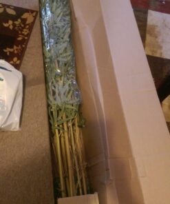 Nearly Natural 5179 5ft. Bambusa Bamboo Silk Tree, 60in. , Green 60 in 49 71dz63ElN5L