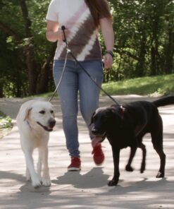 Dual Dog Leash - Double Dog Leash for Two Dogs - Tangle Free - Heavy Duty Double Ended Tandem Leash with Padded Handle for Small Medium or Large Dogs Black 22 71e275hbGrL