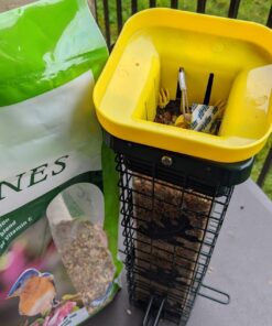 Lyric Fine Tunes Wild Bird Seed - No Waste Bird Food Mix - Attracts Bluebirds, Finches, Chickadees & More - 15 lb. Bag 15.00 Pound (Pack of 1) Seed Mix 38 71e4DoVEpzL